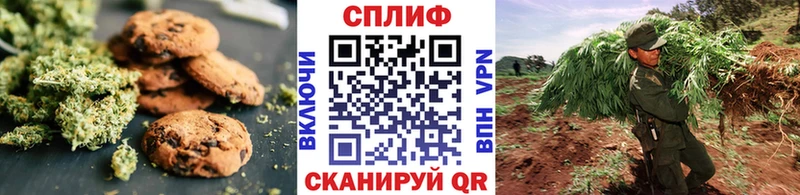 Купить где  Прохладный  Canna-Cookies марихуана 