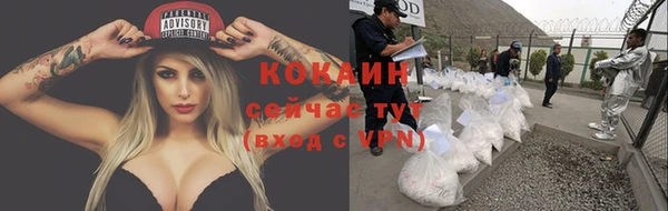 прущие крисы Нея