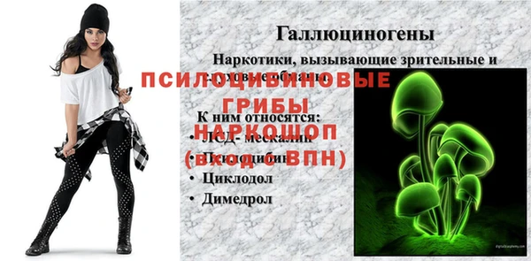 дурь Нефтегорск
