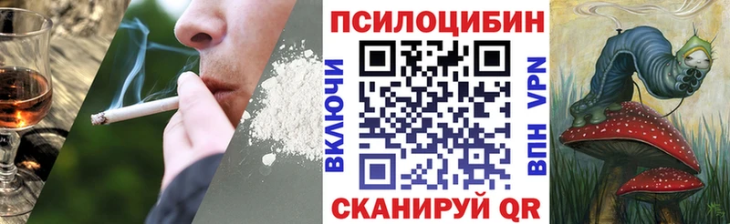 Галлюциногенные грибы мухоморы  Купить где  Прохладный 