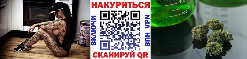 Бошки Шишки SATIVA & INDICA  Купить закладки  Прохладный 